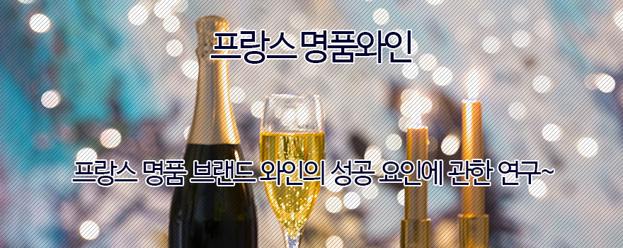 프랑스 명품와인