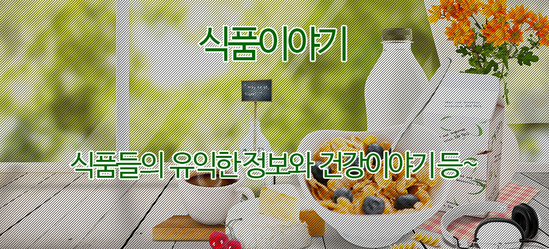 식품이야기