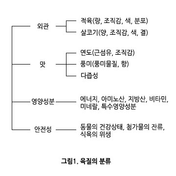 육질의 뷴류