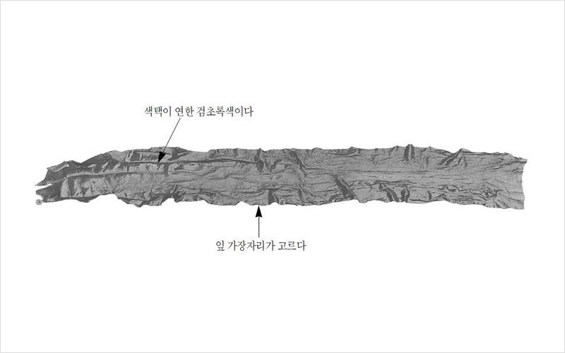 다시마 국내산 No2.