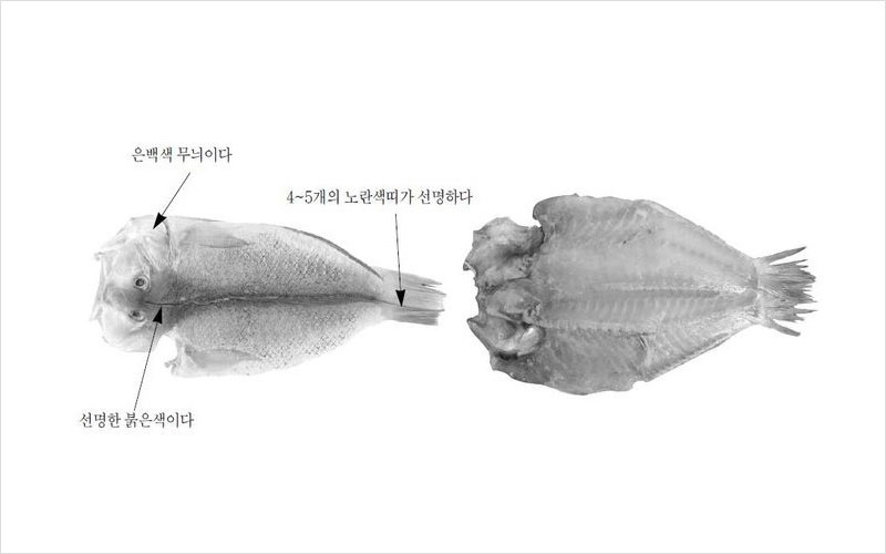 마른옥돔 국내산 No2.