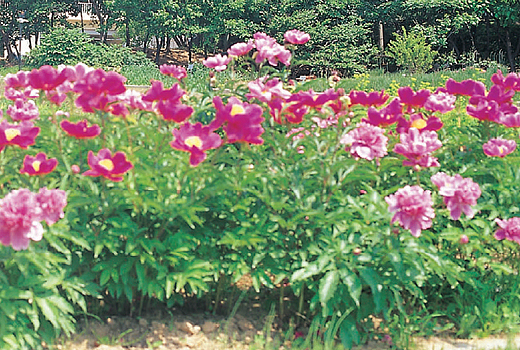 상세보기