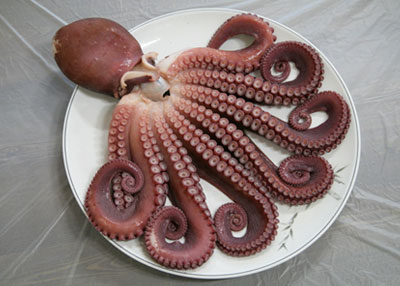 문어