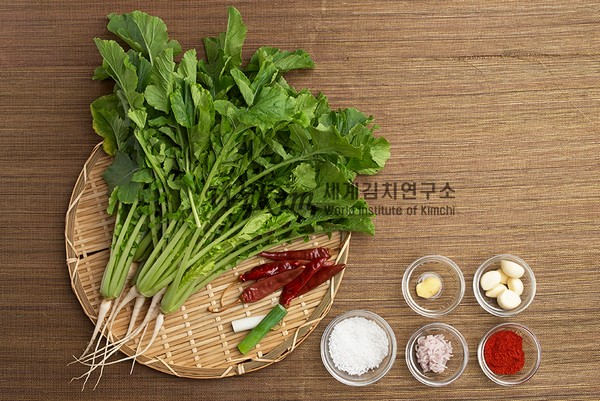 열무김치 레시피 식재료 1.