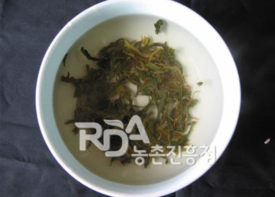 대잎차 레시피