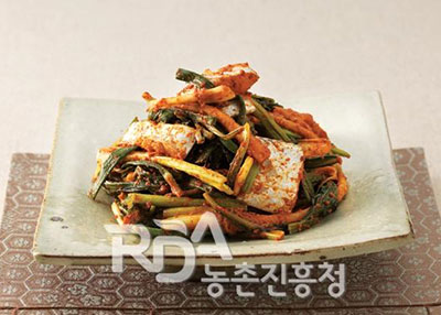 고들빼기갈치김치 레시피