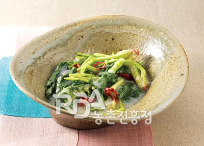 시금치국물김치 레시피