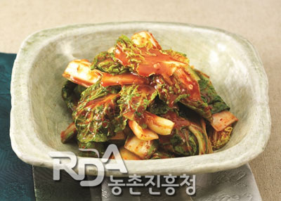 얼갈이반김치(얼갈이김치) 레시피