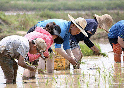 (농)유기농비건(주)