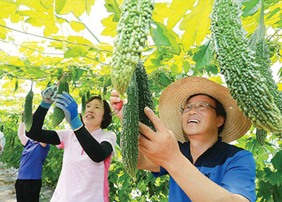 함양영농조합법인 천령식품