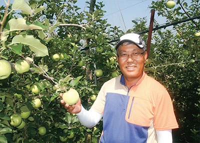 보은황토사과 발전협의회