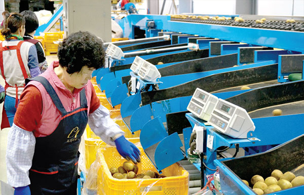 융합사업 연도별 추진 실적 농업회사법인(주) 다사랑