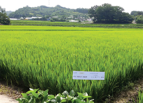 오곡백과(주) 6차산업성공사례 No3.