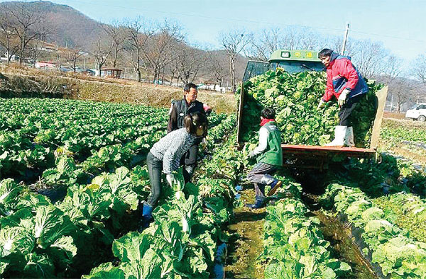 숲골농원 6차산업성공사례 No2.