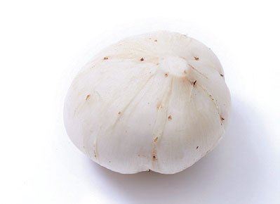 히카마 보관방법
