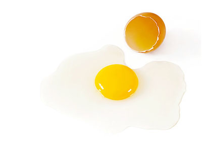 흰자위-(달걀)