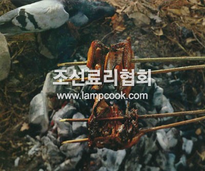 비둘기숯불구이