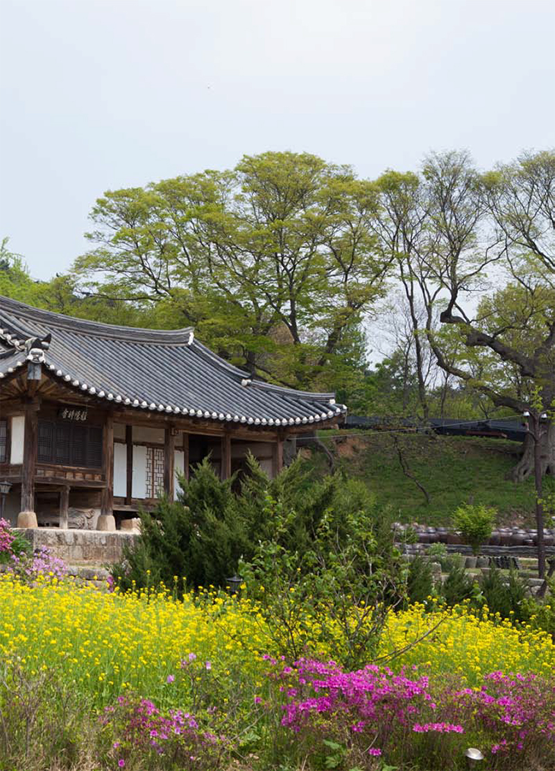 「파평 윤씨 명재 윤증 종가」종가