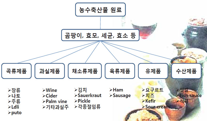 발효식품 현황 식품의 종류