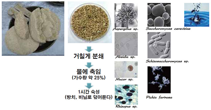 누룩의 구성요소