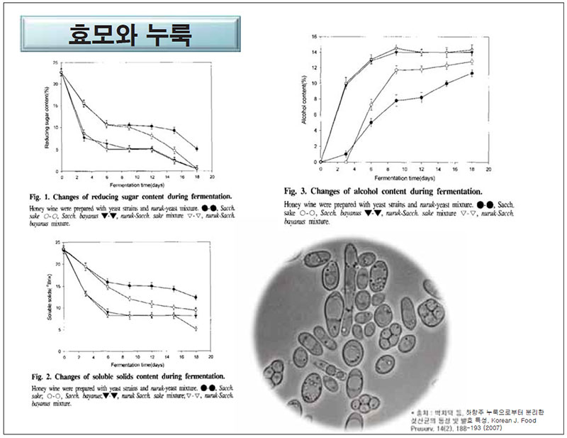 효모와 누룩