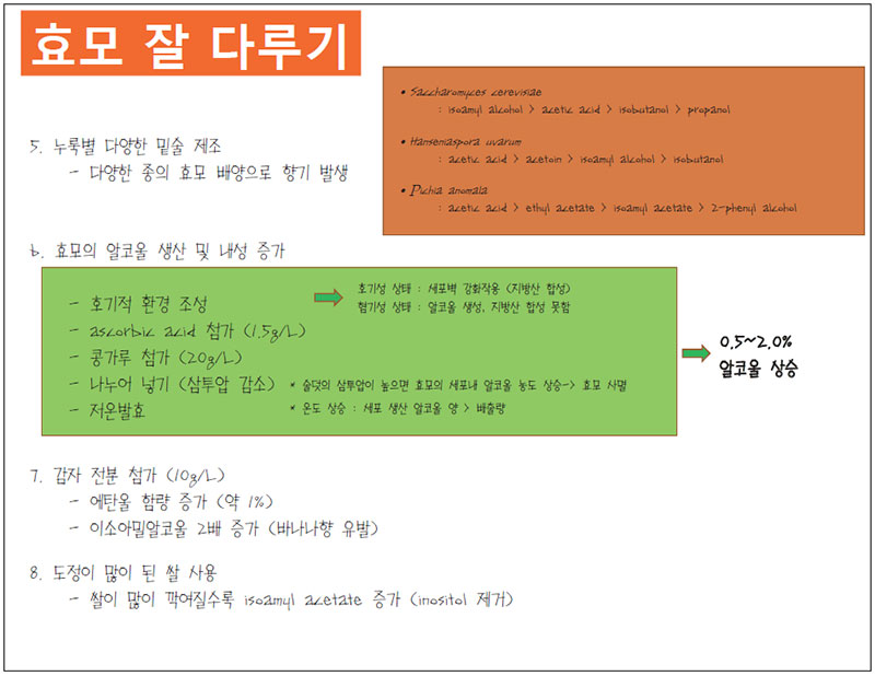 효모 잘 다루기 No2.