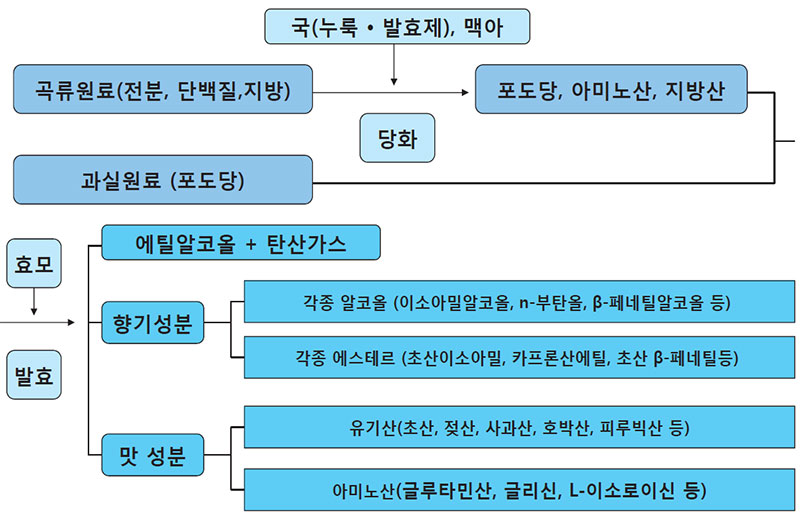 술과 알코올의 차이