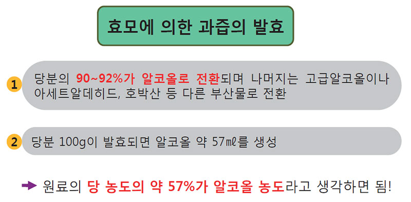 과실주 제조원리 (알코올 생성 수율)