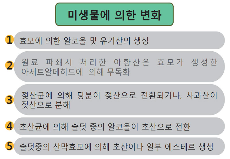 과실주 발효시 미생물에 의한 성분변화