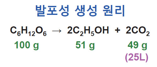 샴페인 발효 원리