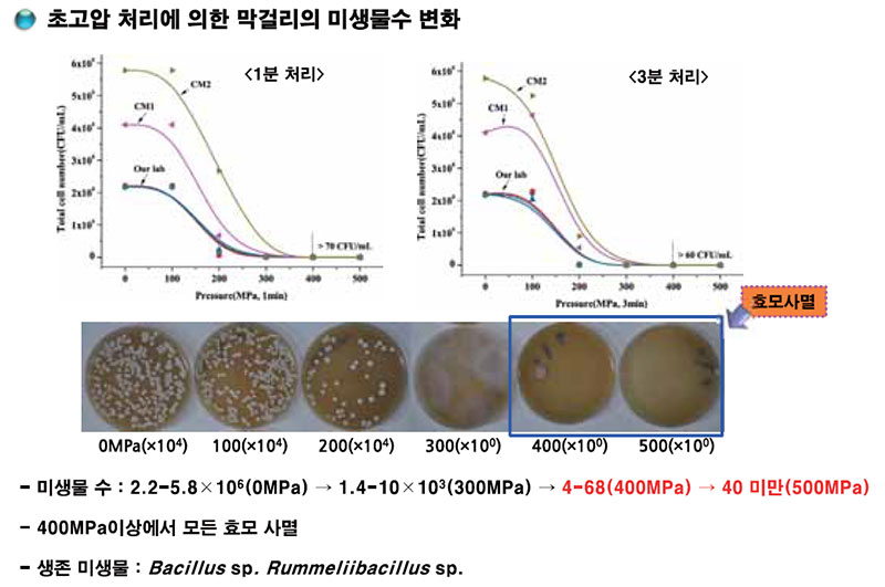 샴페인 막걸리 초고압 처리에 의한 미생물수 변화