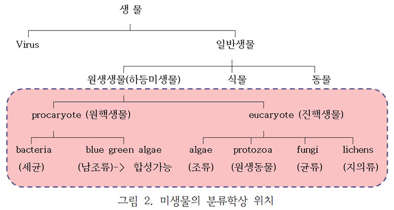 미생물의 분류학상 위치