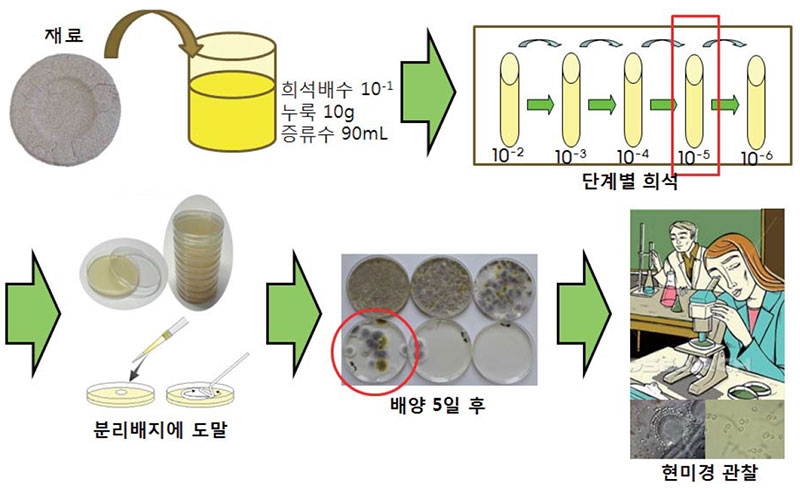 미생물 분리 및 배양기술 실습