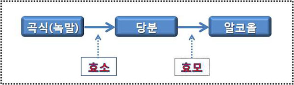 우리 술 제조 과정