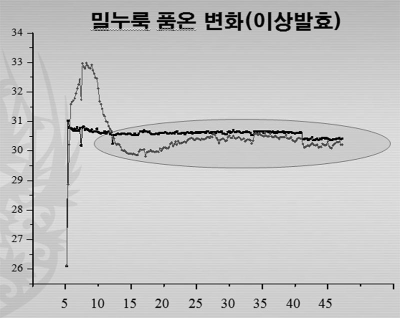 밀누룩 품온변화(이상 발효)