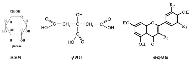 과일주(와인)의 성분