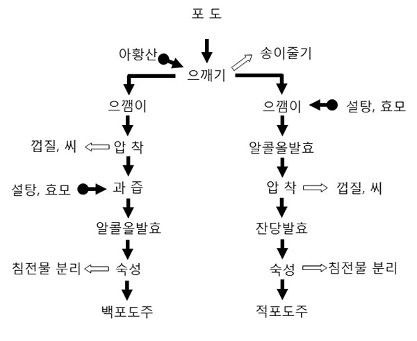 과일주 제조공정