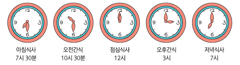 식사 시간과 간식 시간의 예