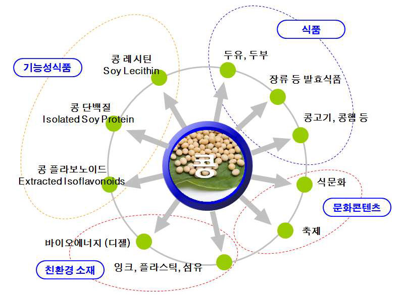 콩 산업