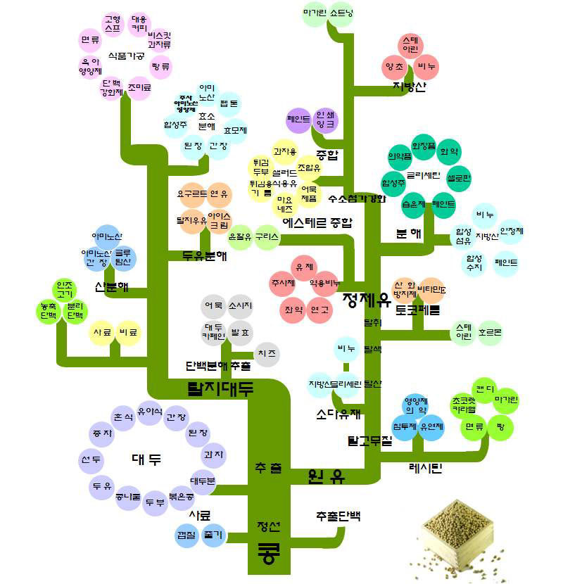 콩의 용도