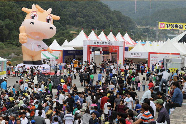 횡성 ‘한우축제’