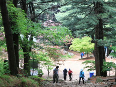 우리술 양조장 주변관광지 축령산(축령백림)