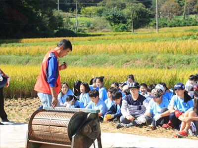 술샘 양조장 주변관광지 농촌체험마을 학일마을