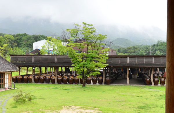 산사원(배상면주가) 양조장 항아리