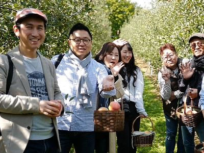 예산사과와인(은성농원) 양조장 체험프로그램 사과따기