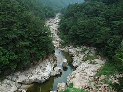 울진술도가 양조장 주변관광지 불영사 계곡