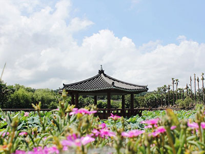 제주샘주 양조장 주변관광지 연화지