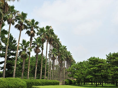 제주샘주 양조장 주변관광지 트로피칼한림공원