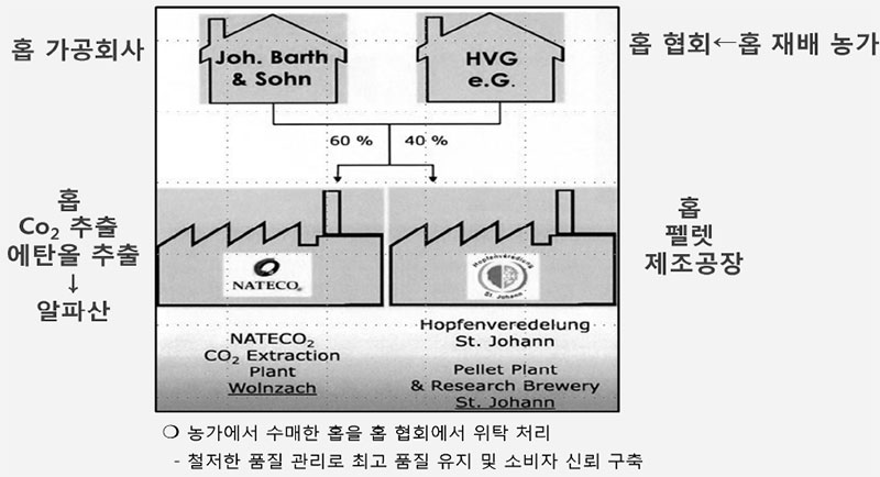 홉(할러타우어 공동가공시설)