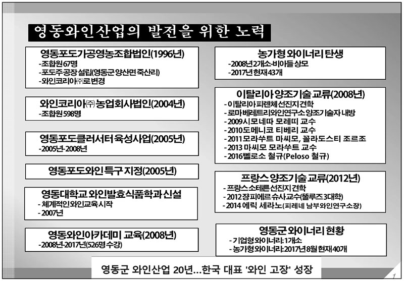 영동와인산업의 발전을 위한 노력